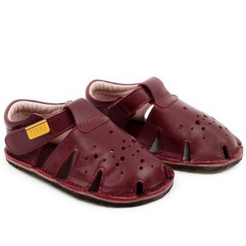Aranya piele 2021 - Prugna